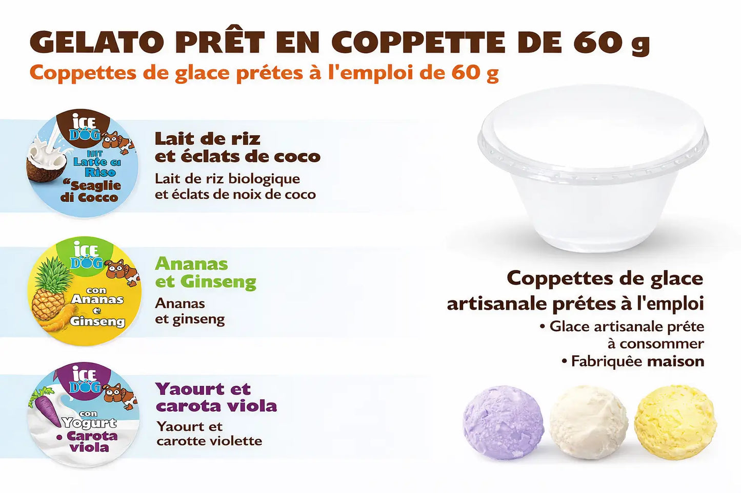 Glace pour chien Ice Dog® - 3 recettes fraîches à préparer