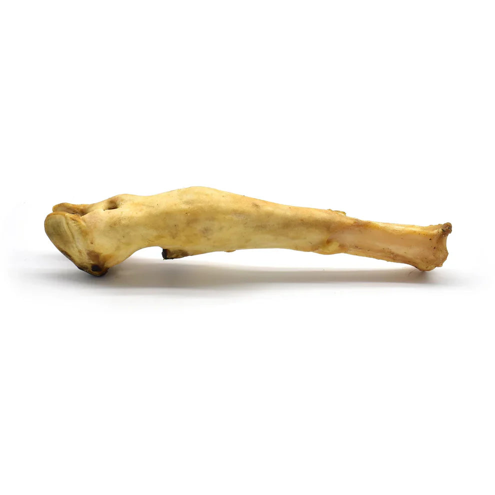 Patte d'agneau pour chien