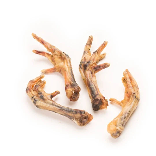 Patte de poulet pour chien