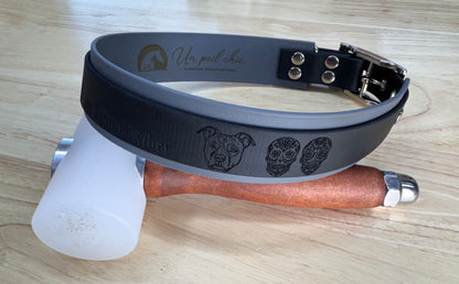 Collier pour chien sur mesure et personnalisable en BIOTHANE Bicolore