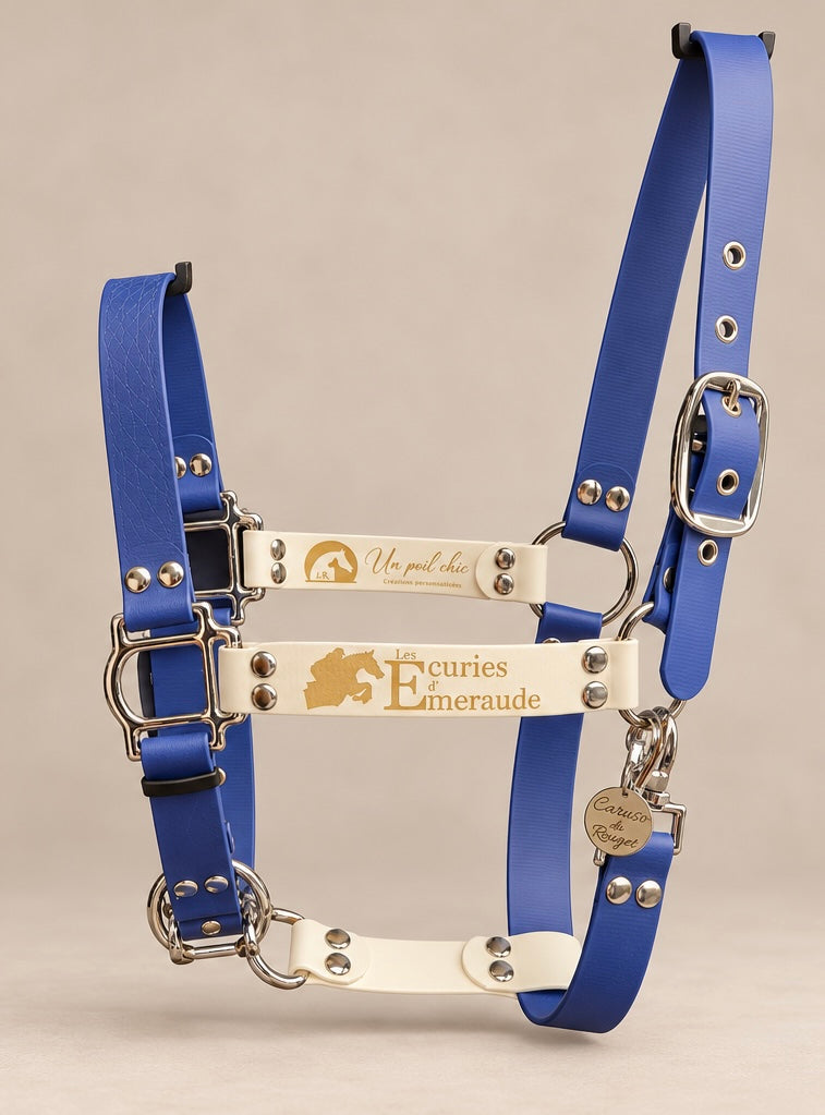 Le Licol Alliance — Licol Biothane® bicolore personnalisable pour cheval