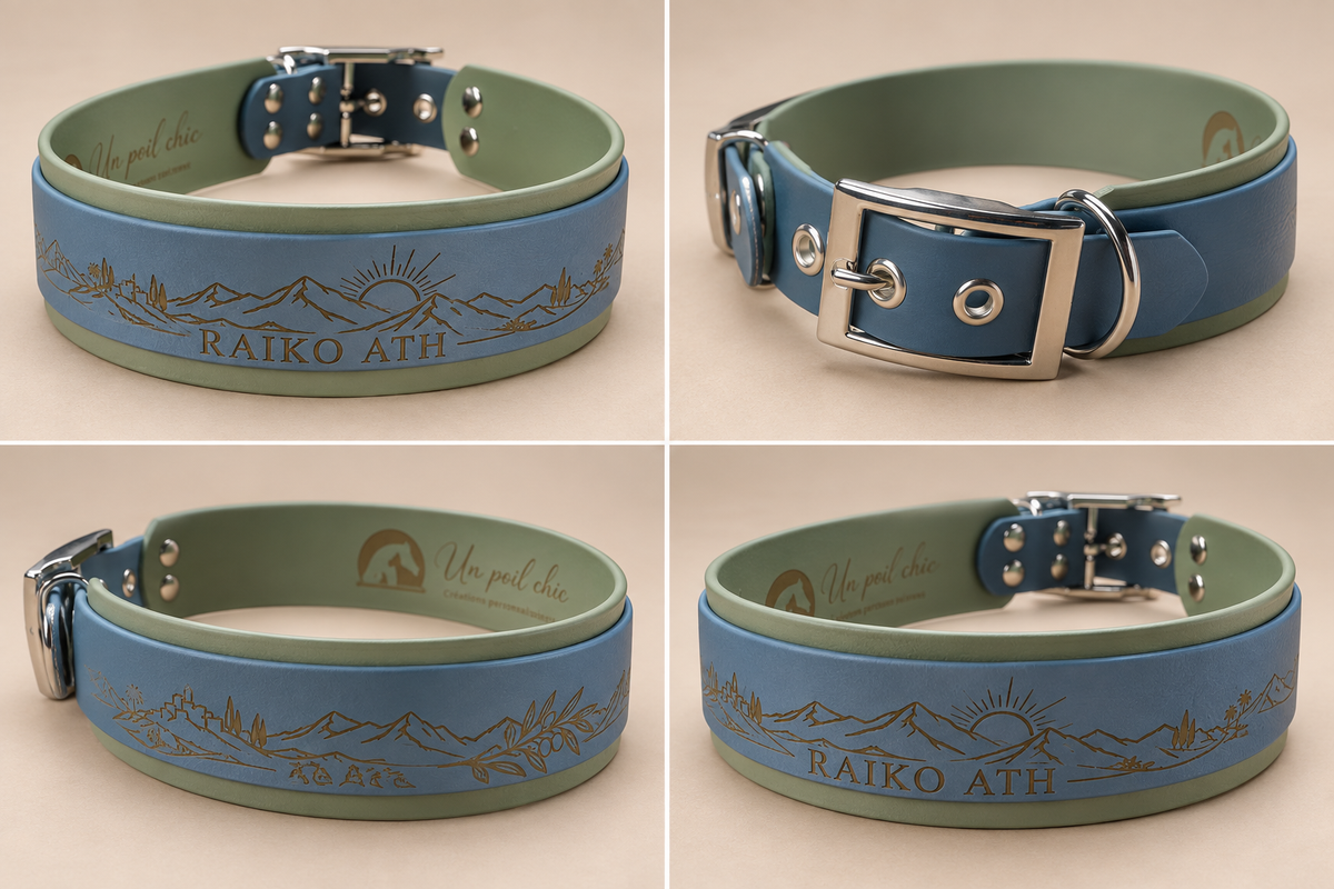 L’Alliance — Collier Biothane® bicolore personnalisé pour chien