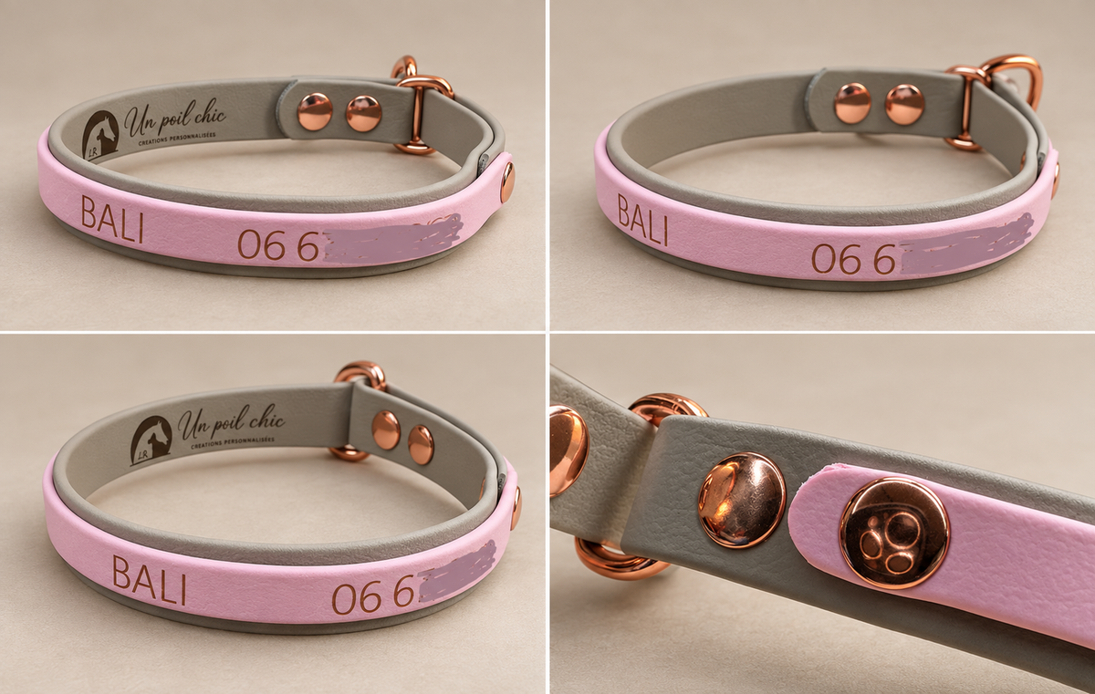 Le Martingale — Collier Biothane® bicolore martingale personnalisé pour chien