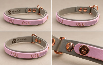 Le Martingale — Collier Biothane® bicolore martingale personnalisé pour chien
