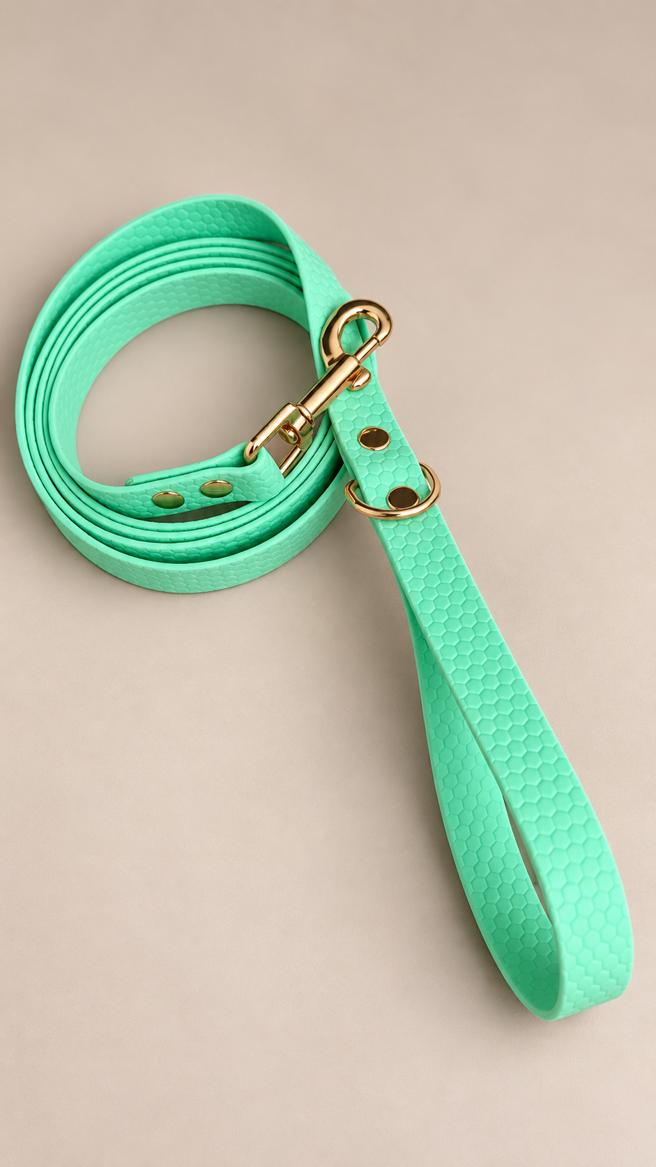 L’Horizon Essentiel — Laisse HEXA unicolore personnalisée pour chien