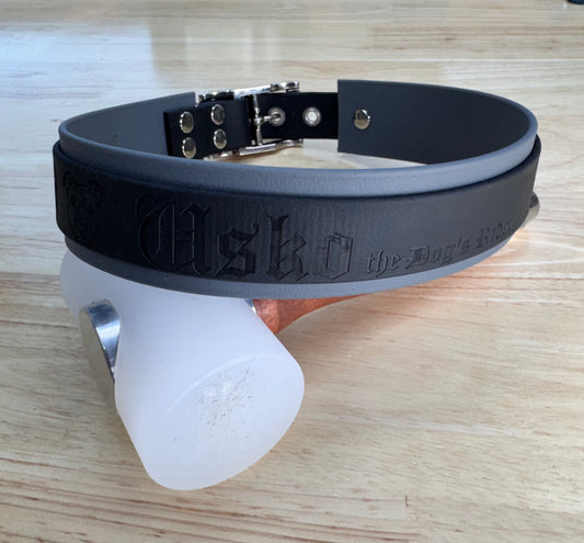 Collier pour chien sur mesure et personnalisable en BIOTHANE Bicolore