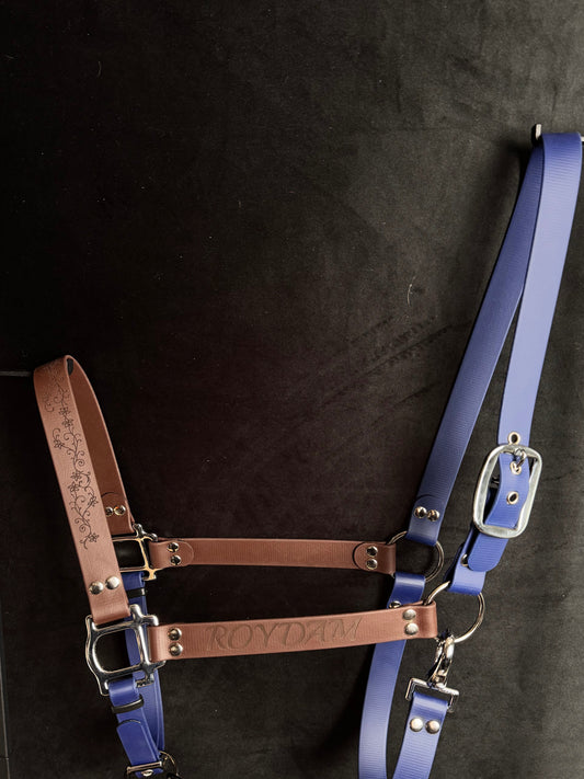 Licol Shetland / PS / COB / CHEVAL - Biothane BICOLORE personnalisé – design unique