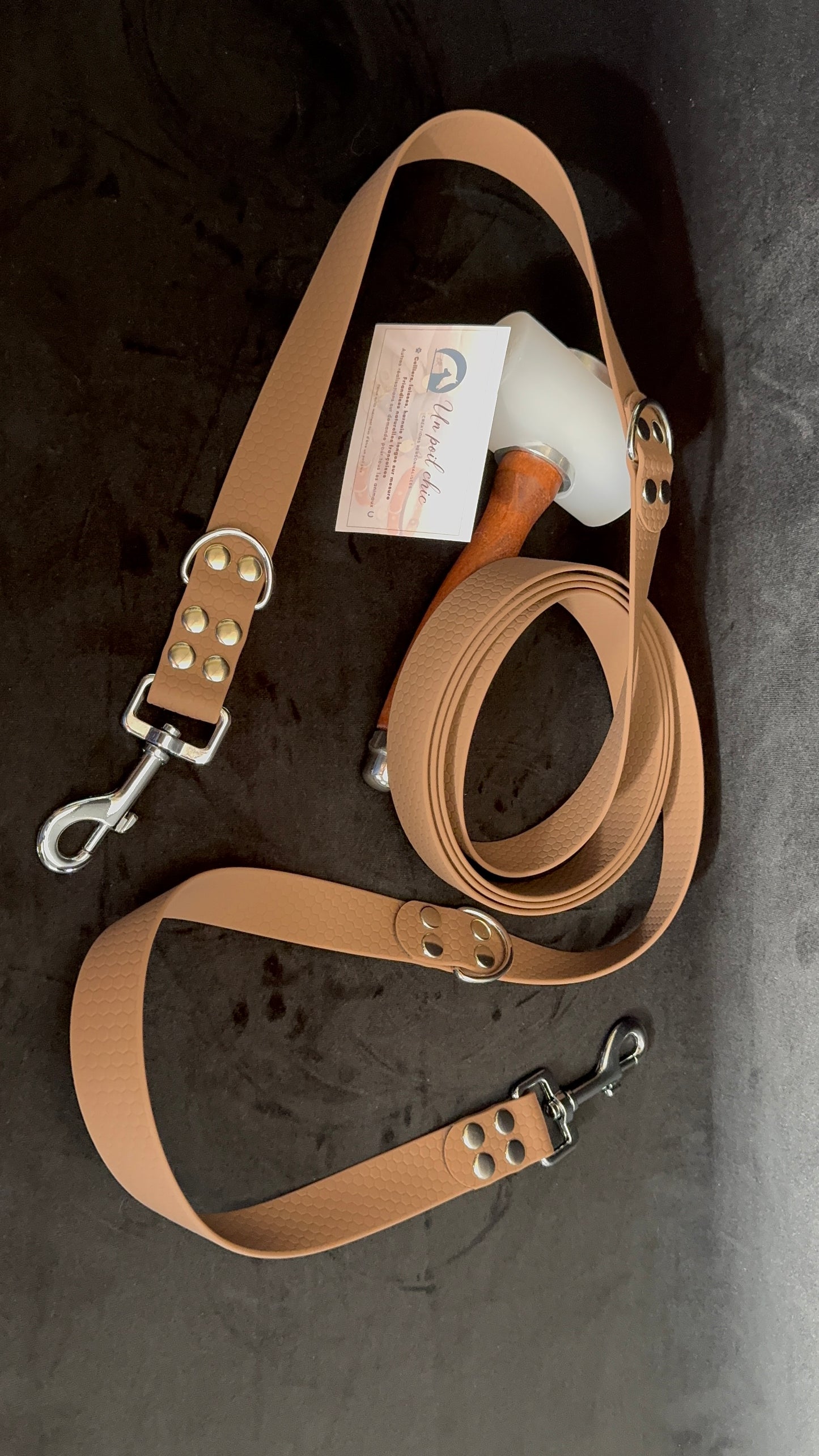 Laisse multipositions pour chien en HEXA personnalisable unicolore