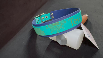 Collier pour chien sur mesure et personnalisable en BIOTHANE Bicolore