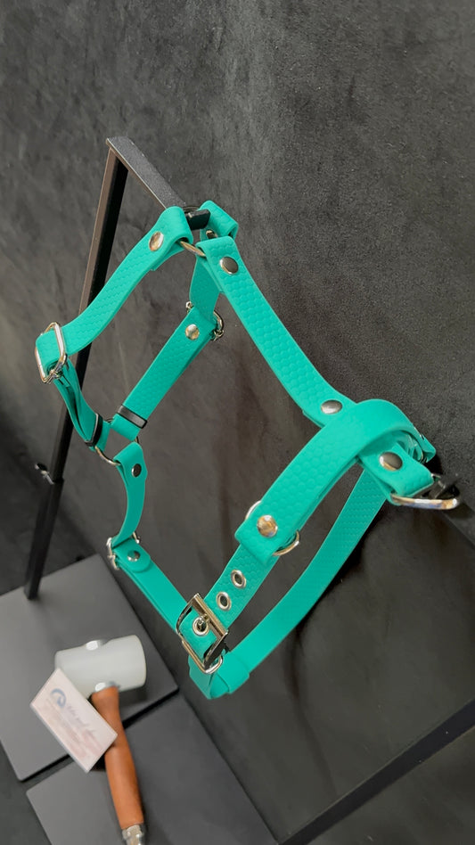 Harnais en H pour chien en HEXA sur mesure et personnalisable unicolore