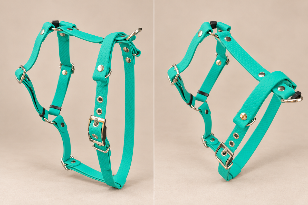 L’Essentiel — Harnais H HEXA sur mesure et personnalisé pour chien