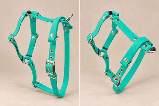 L’Essentiel — Harnais H HEXA sur mesure et personnalisé pour chien
