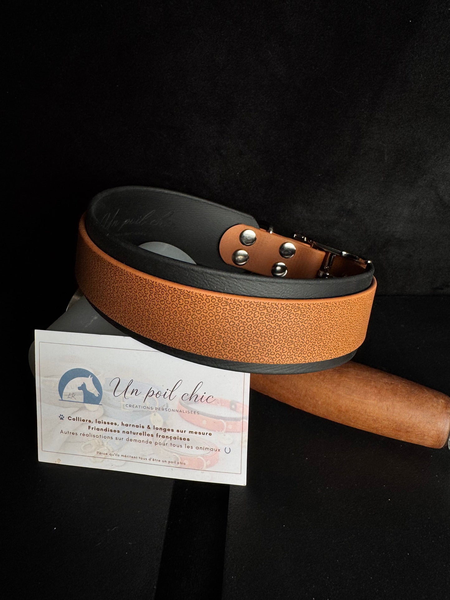 Collier pour chien sur mesure et personnalisable en BIOTHANE Bicolore