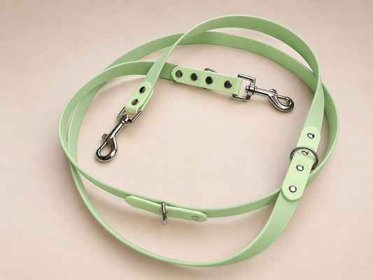 La Modulable Essentiel — Laisse multiposition Biothane® 2 m personnalisée pour chien