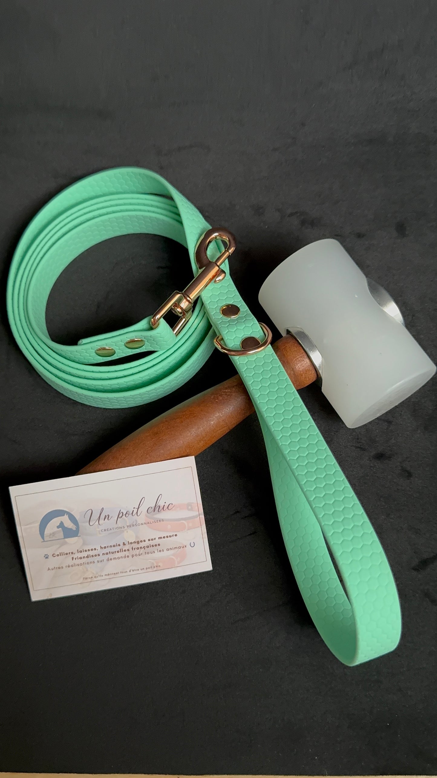 Laisse simple pour chien en HEXA personnalisable