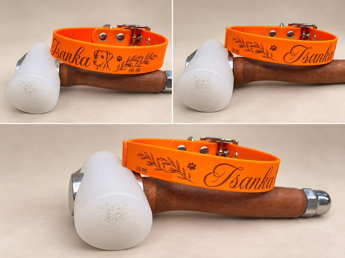 L’Essentiel — Collier Biothane® unicolore personnalisé pour chien