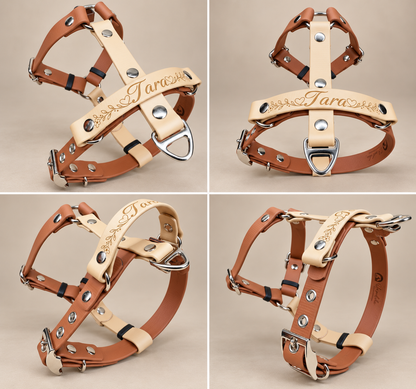 L’Alliance — Harnais H Biothane® bicolore sur mesure pour chien