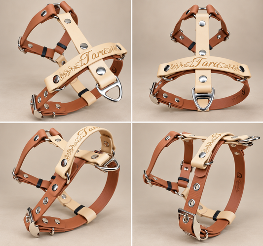 L’Alliance — Harnais H Biothane® bicolore sur mesure pour chien