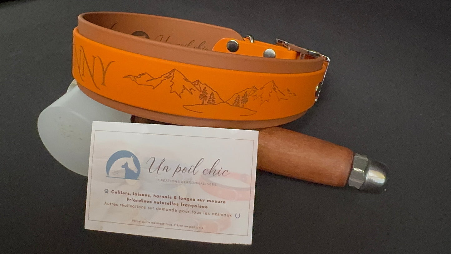 Collier pour chien sur mesure et personnalisable en BIOTHANE Bicolore
