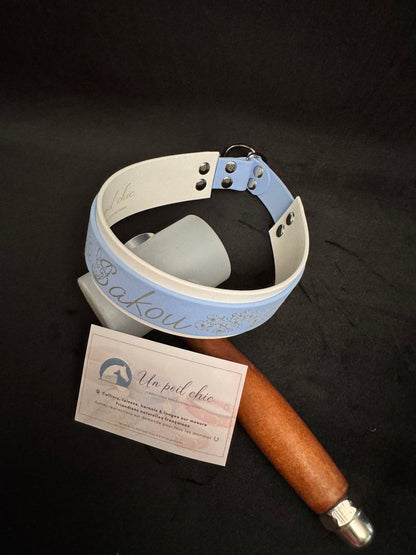 Collier Martingale bicolore en Biothane personnalisé pour chien