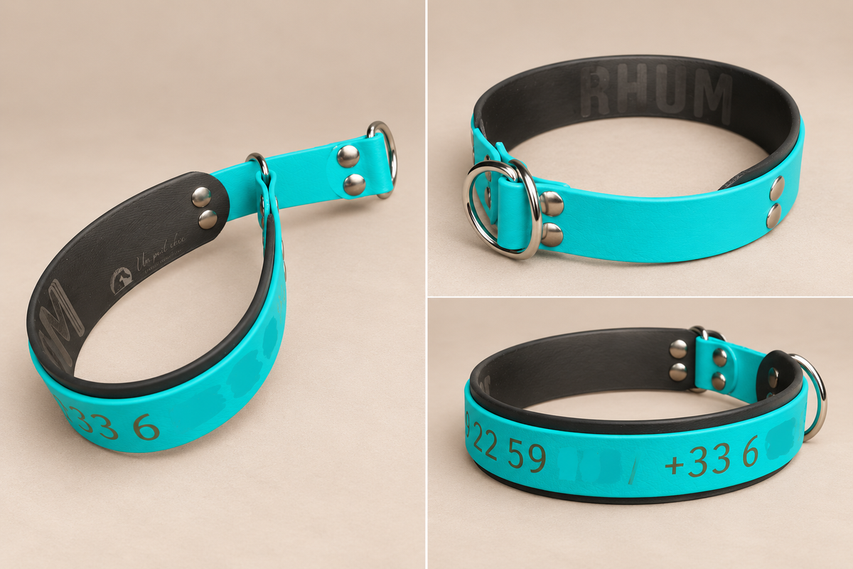 Le Martingale — Collier Biothane® bicolore martingale personnalisé pour chien