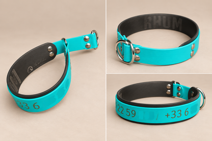 Le Martingale — Collier Biothane® bicolore martingale personnalisé pour chien
