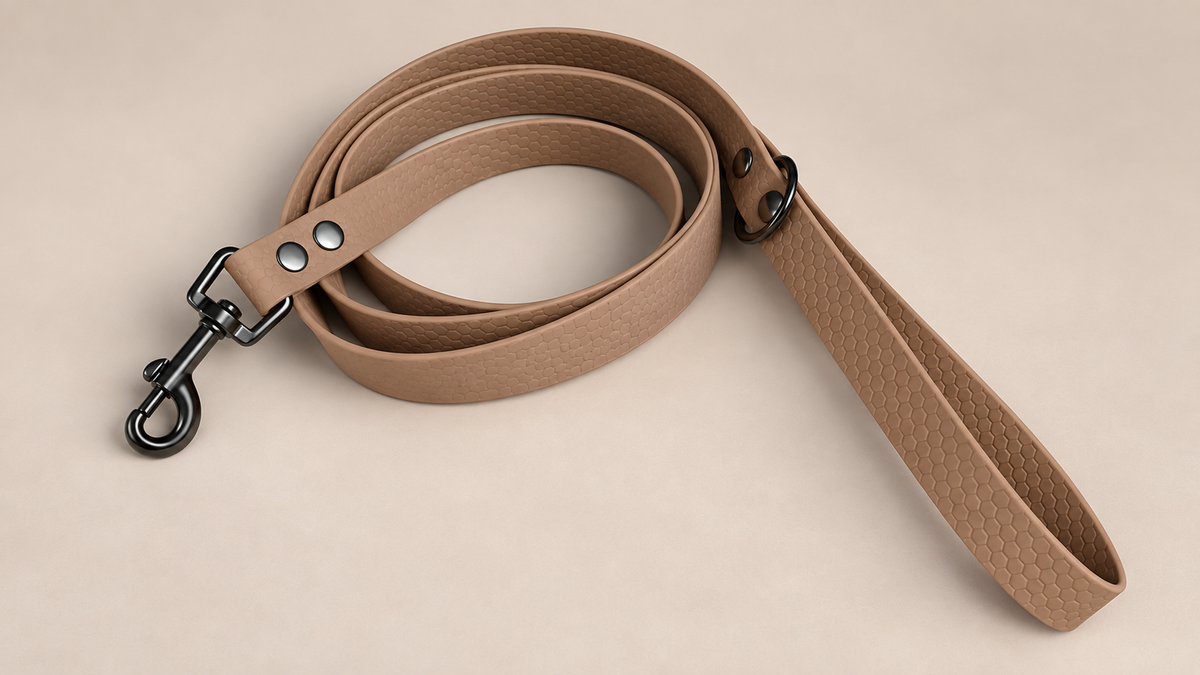 L’Horizon Essentiel — Laisse HEXA unicolore personnalisée pour chien