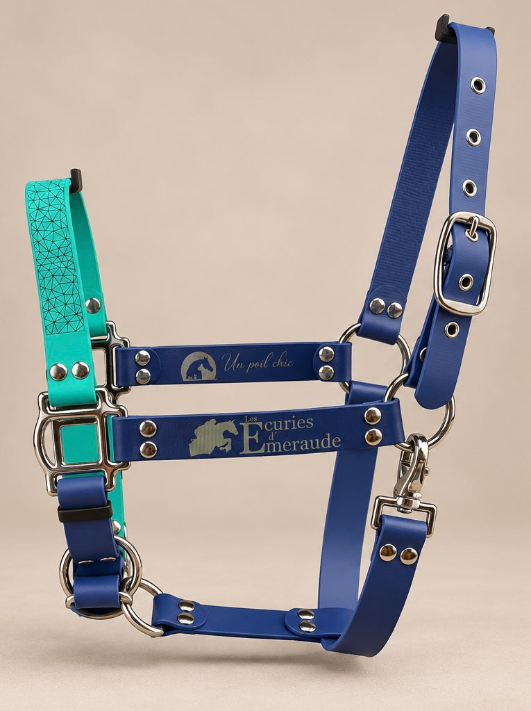 Le Licol Alliance — Licol Biothane® bicolore personnalisable pour cheval