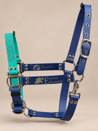 Le Licol Alliance — Licol Biothane® bicolore personnalisable pour cheval