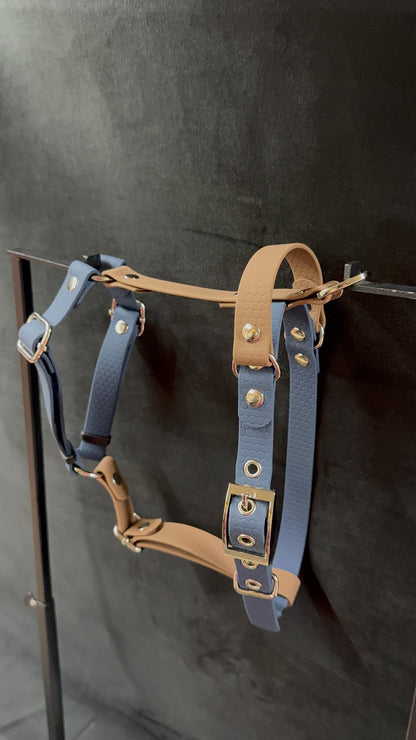 Harnais en H pour chien en HEXA sur mesure et personnalisable bicolore