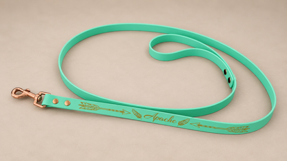 L’Horizon Essentiel — Laisse Biothane® unicolore personnalisée pour chien