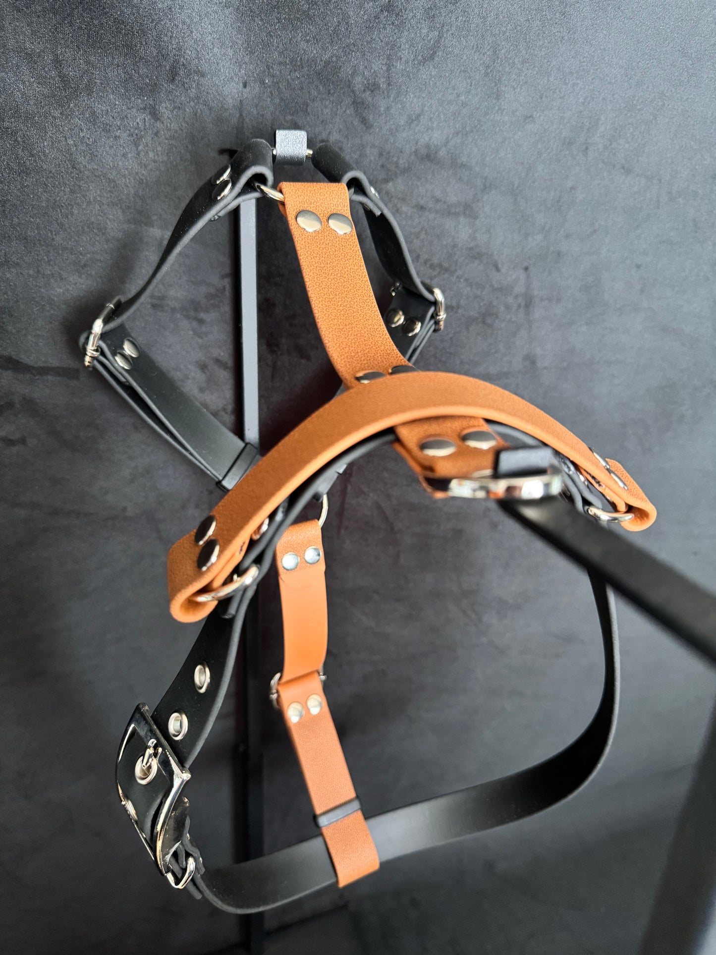 Harnais en H pour chien en BIOTHANE sur mesure et personnalisable bicolore