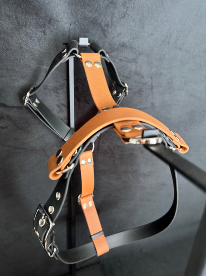 Harnais en H pour chien en BIOTHANE sur mesure et personnalisable bicolore
