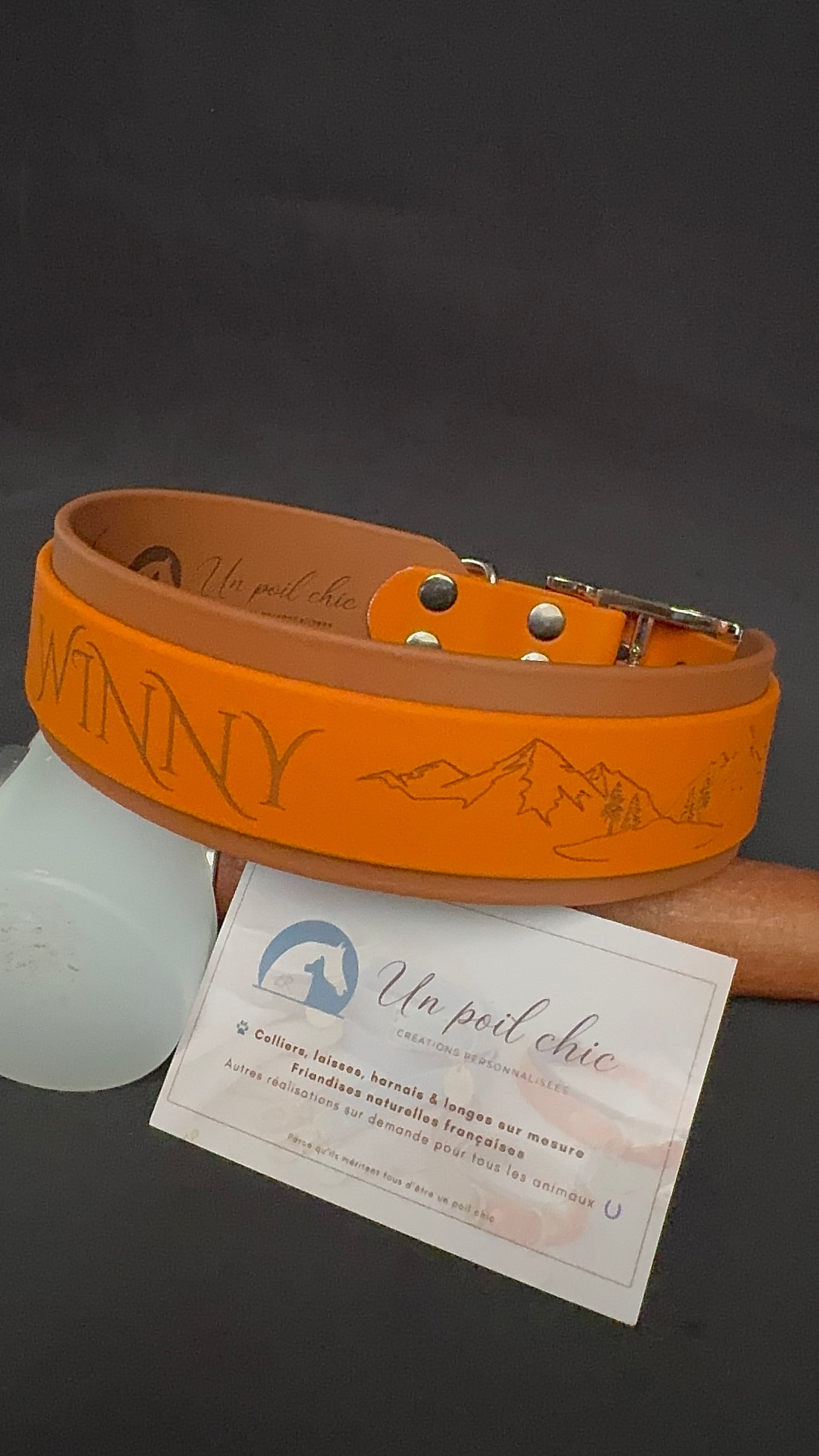 Collier pour chien sur mesure et personnalisable en BIOTHANE Bicolore