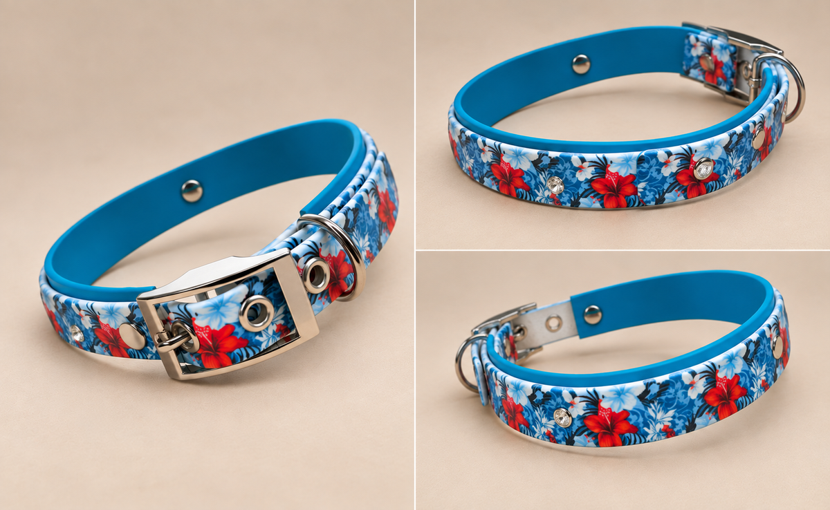 L’Édition — Collier Biothane® à motif imprimé personnalisé pour chien
