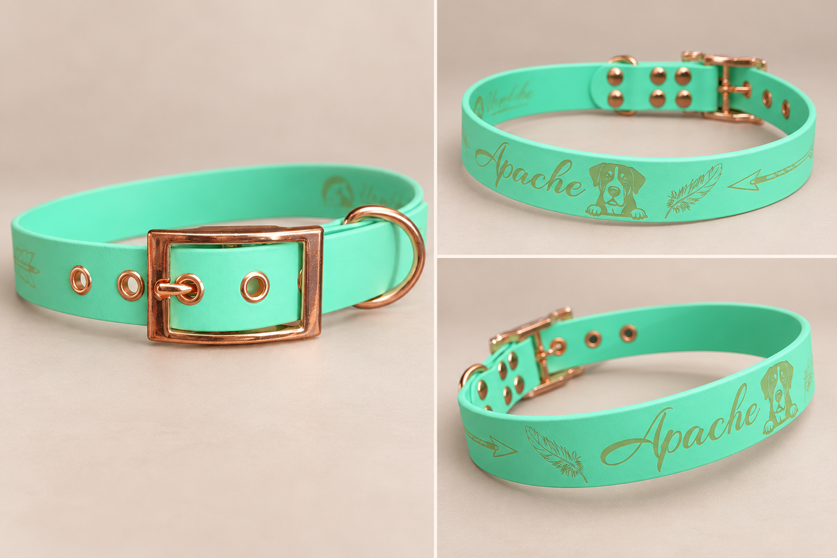 L’Essentiel — Collier Biothane® unicolore personnalisé pour chien