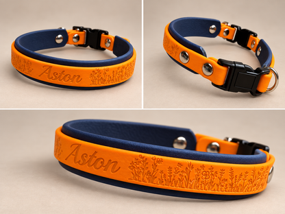 L’Express — Collier Biothane® à boucle rapide personnalisé pour chien