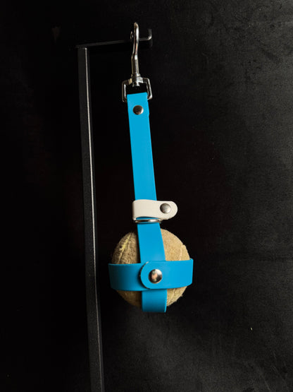 Porte-balle pour chien