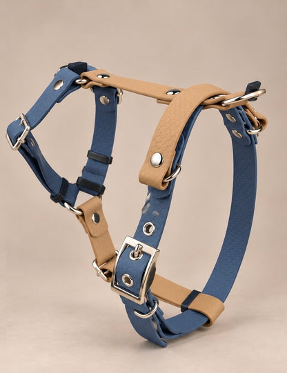 L’Alliance — Harnais H HEXA bicolore sur mesure et personnalisé pour chien