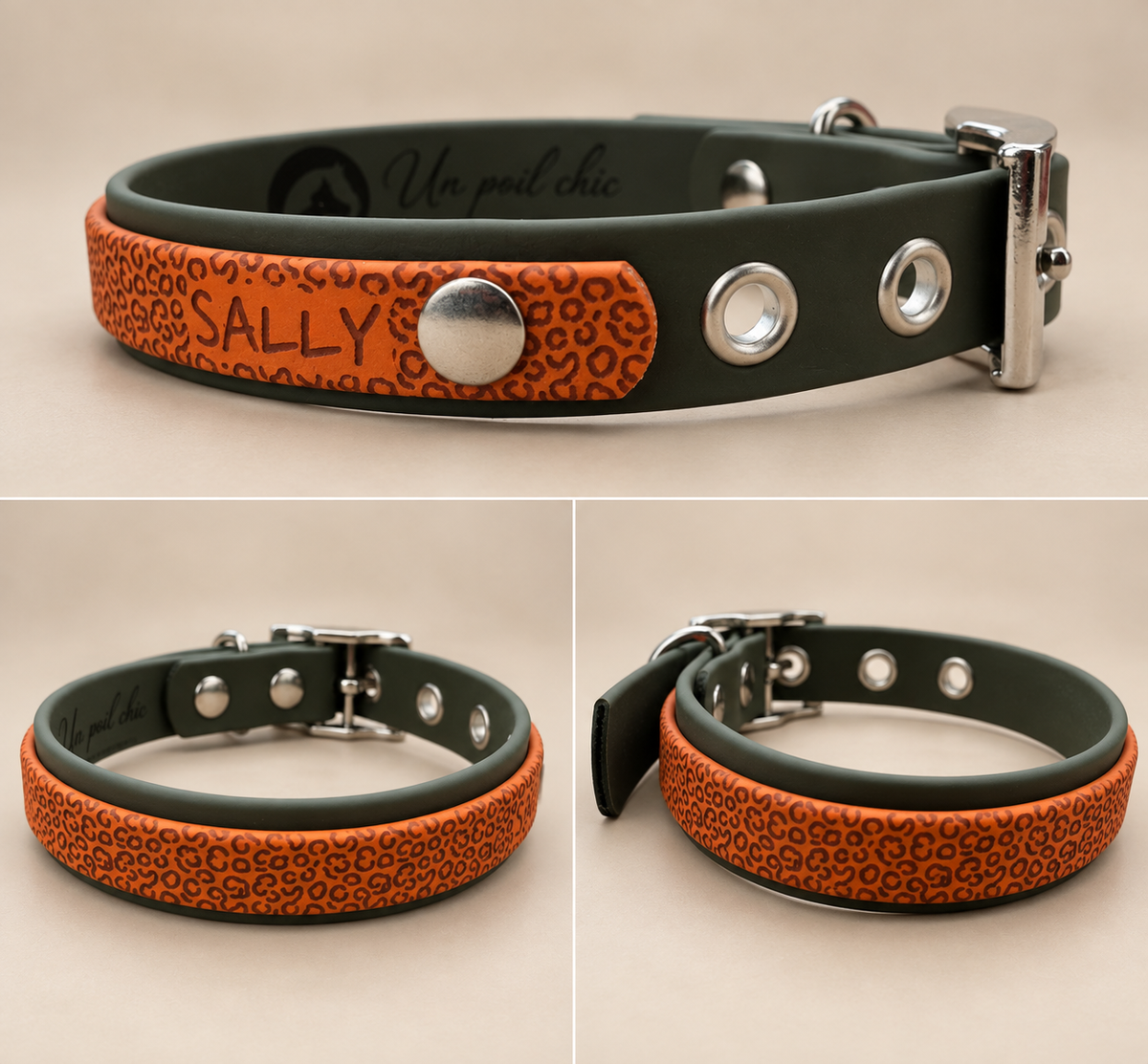L’Alliance — Collier Biothane® bicolore personnalisé pour chien