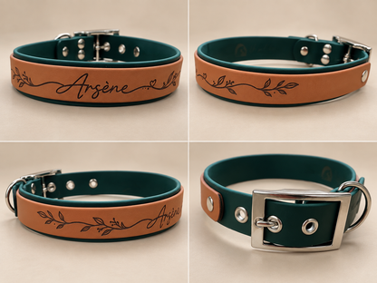 L’Alliance — Collier Biothane® bicolore personnalisé pour chien