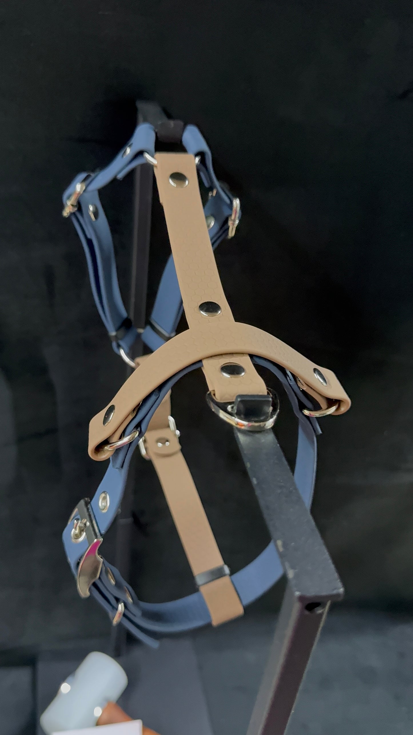 Harnais en H pour chien en HEXA sur mesure et personnalisable bicolore