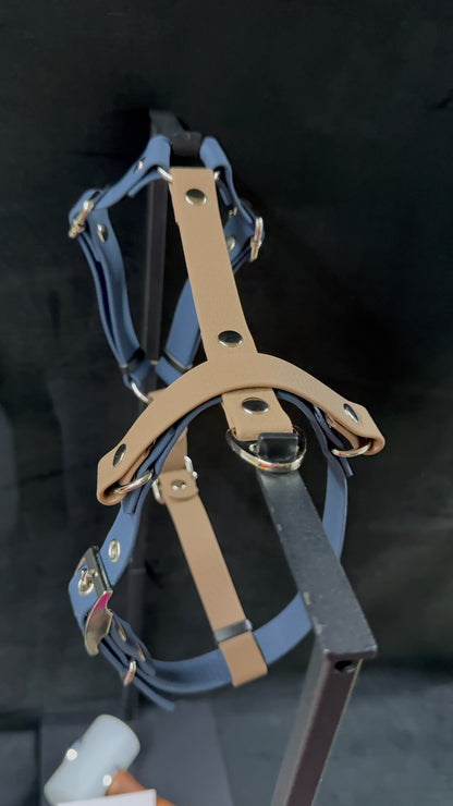 Harnais en H pour chien en HEXA sur mesure et personnalisable bicolore