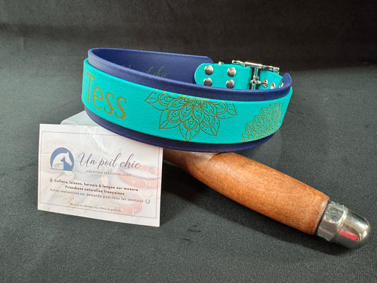 Collier pour chien sur mesure et personnalisable en BIOTHANE Bicolore
