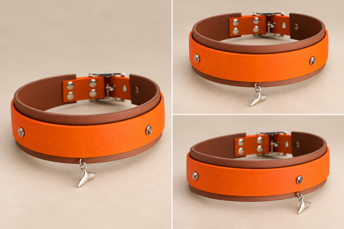 Le Précieux — Collier Biothane® bijou personnalisé pour chien