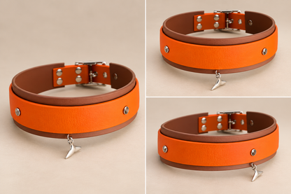 Le Précieux — Collier Biothane® bijou personnalisé pour chien