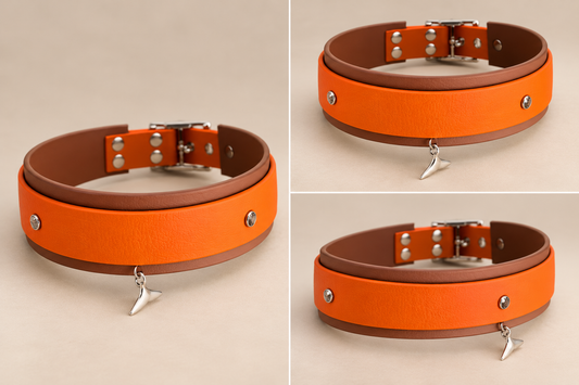 Le Précieux — Collier Biothane® bijou personnalisé pour chien