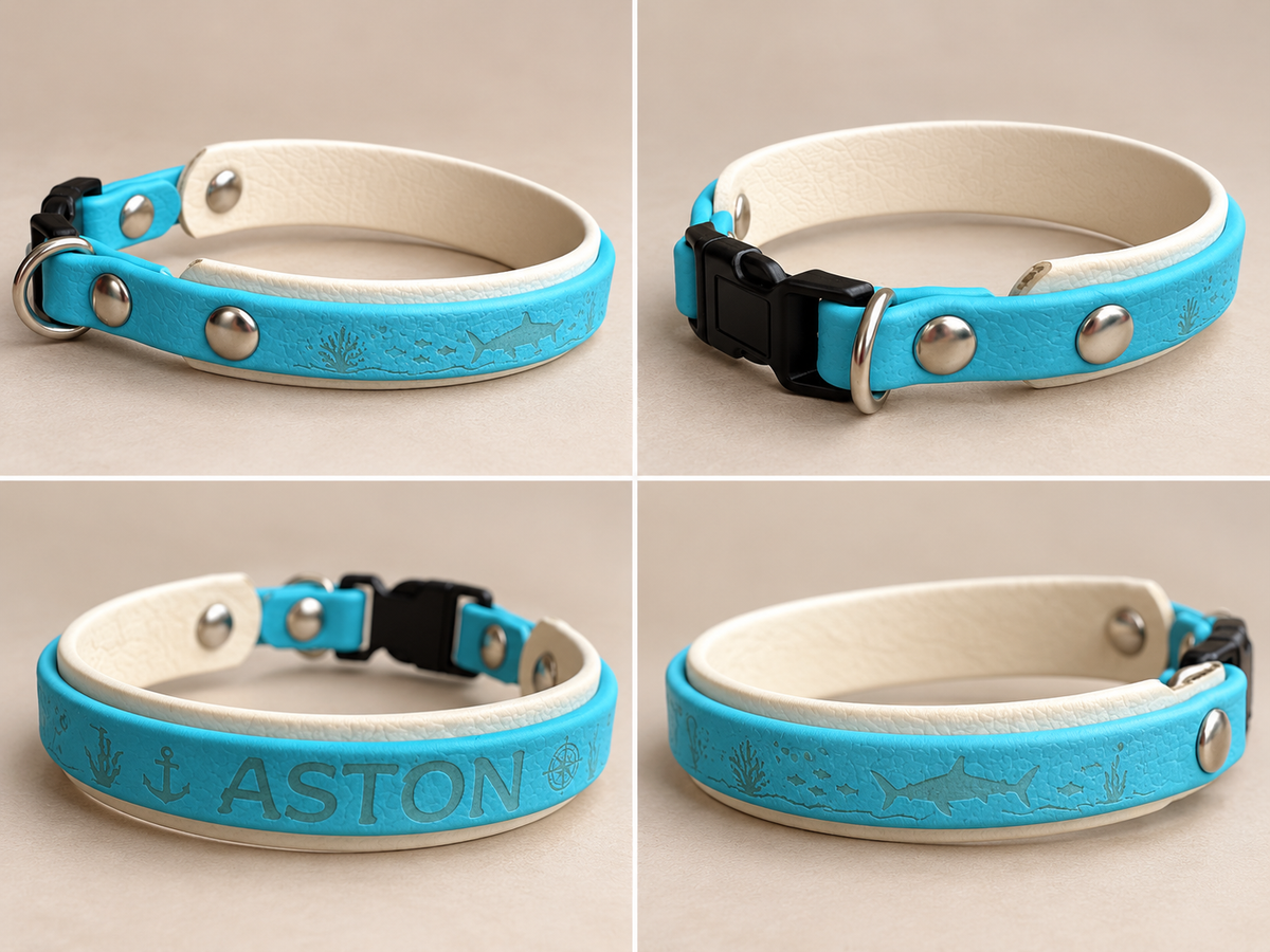 L’Express — Collier Biothane® à boucle rapide personnalisé pour chien