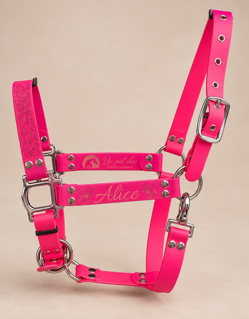 Le Licol Essentiel — Licol Biothane® unicolore personnalisable pour cheval