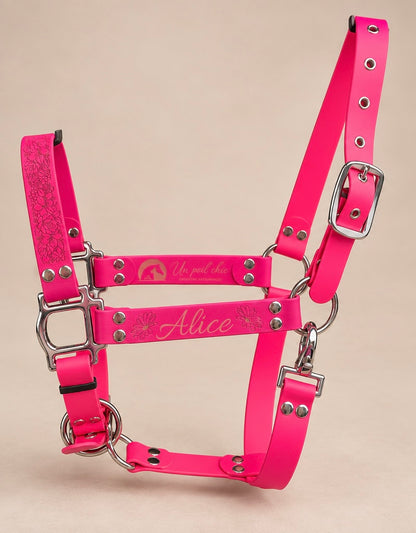 Le Licol Essentiel — Licol Biothane® unicolore personnalisable pour cheval